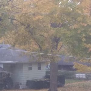 Meet your Posher, Andy